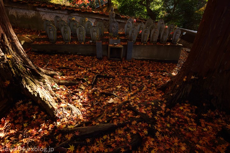 京都 毘沙門堂 ～紅葉～_d0319222_13522465.jpg