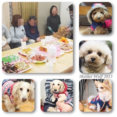 オープンハウス♪ ~2015年新年会~_e0191026_19132093.jpg