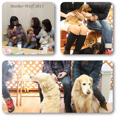 オープンハウス♪ ~2015年新年会~_e0191026_1914262.jpg