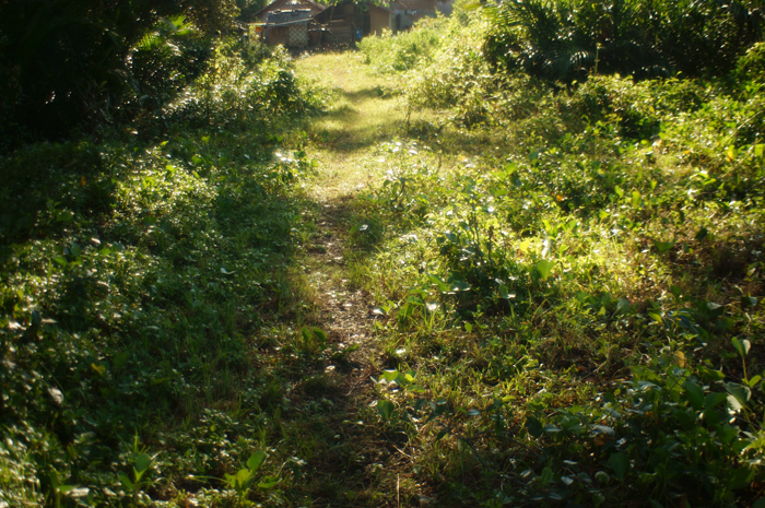e0202828_18463109.jpg