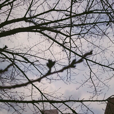 c0296630_23243415.jpg