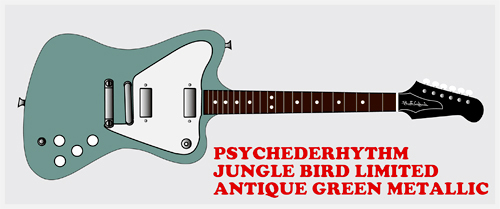 「Jungle Bird Limited #001」を3月に発売します!!!!!_e0053731_1621693.jpg