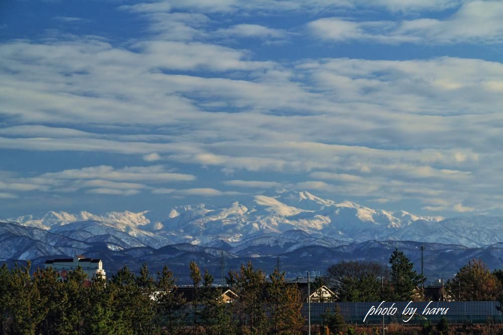 f0297537_16052994.jpg