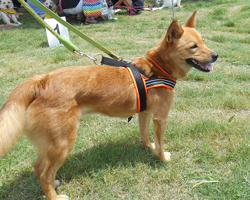 c0026843_1717271.png