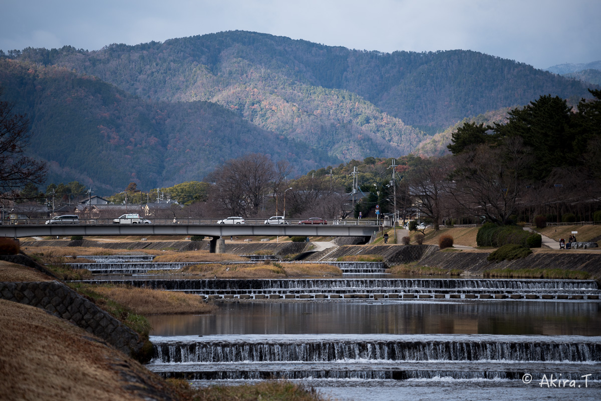 賀茂川スナップ 〜2〜_f0152550_21531375.jpg