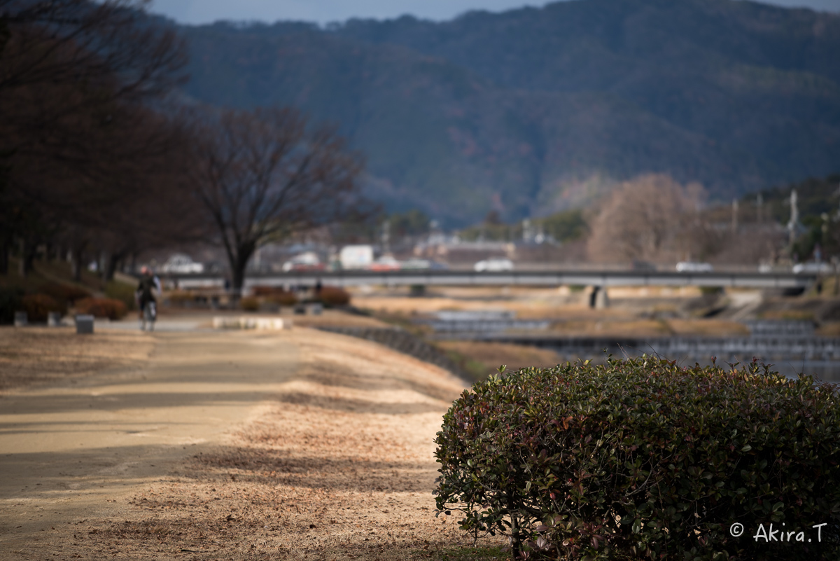 賀茂川スナップ 〜2〜_f0152550_2153586.jpg