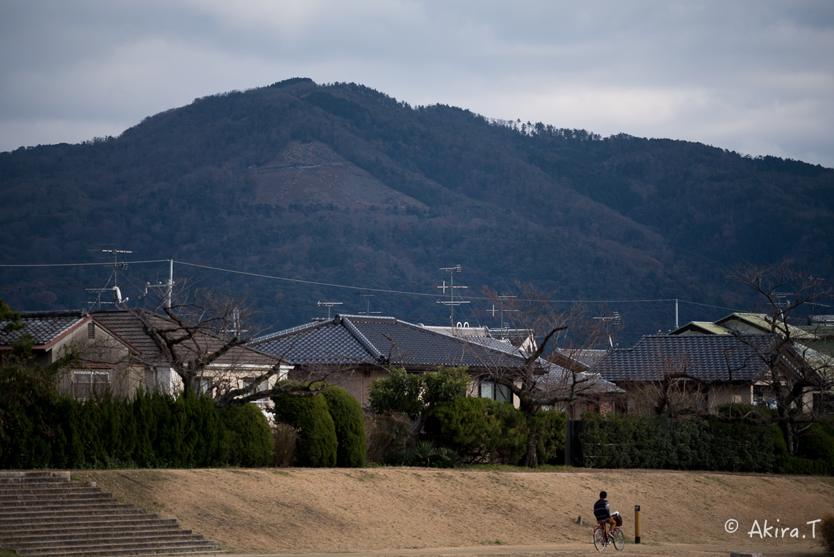 賀茂川スナップ 〜2〜_f0152550_21553921.jpg