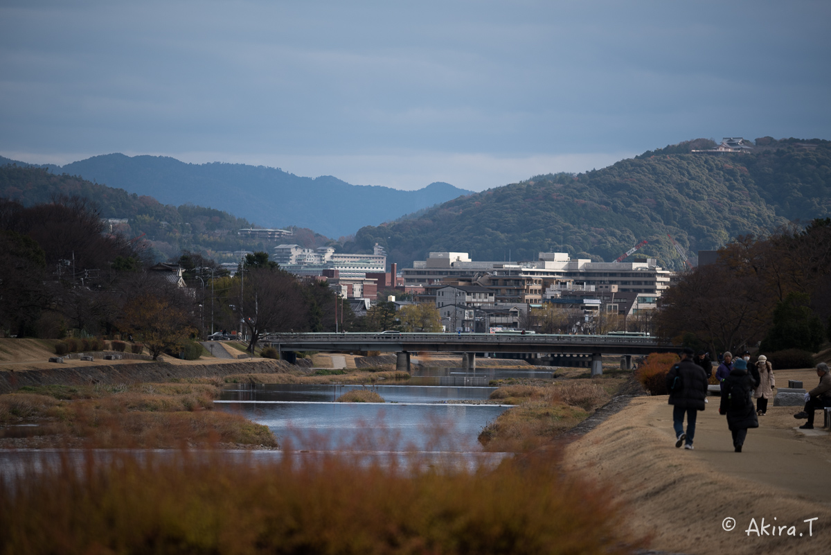 賀茂川スナップ 〜2〜_f0152550_21563828.jpg