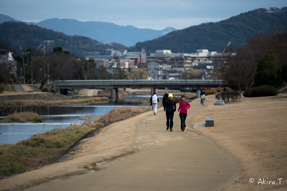 賀茂川スナップ 〜2〜_f0152550_21573154.jpg