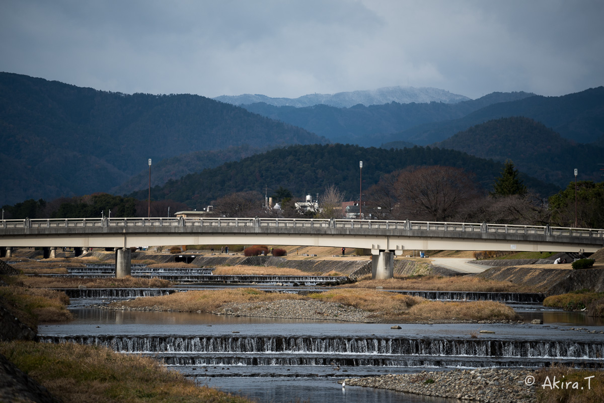 賀茂川スナップ 〜2〜_f0152550_21574811.jpg