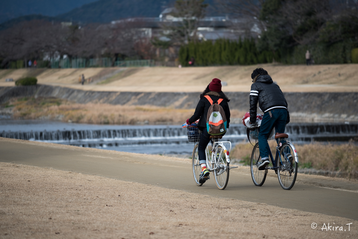 賀茂川スナップ 〜2〜_f0152550_21582189.jpg