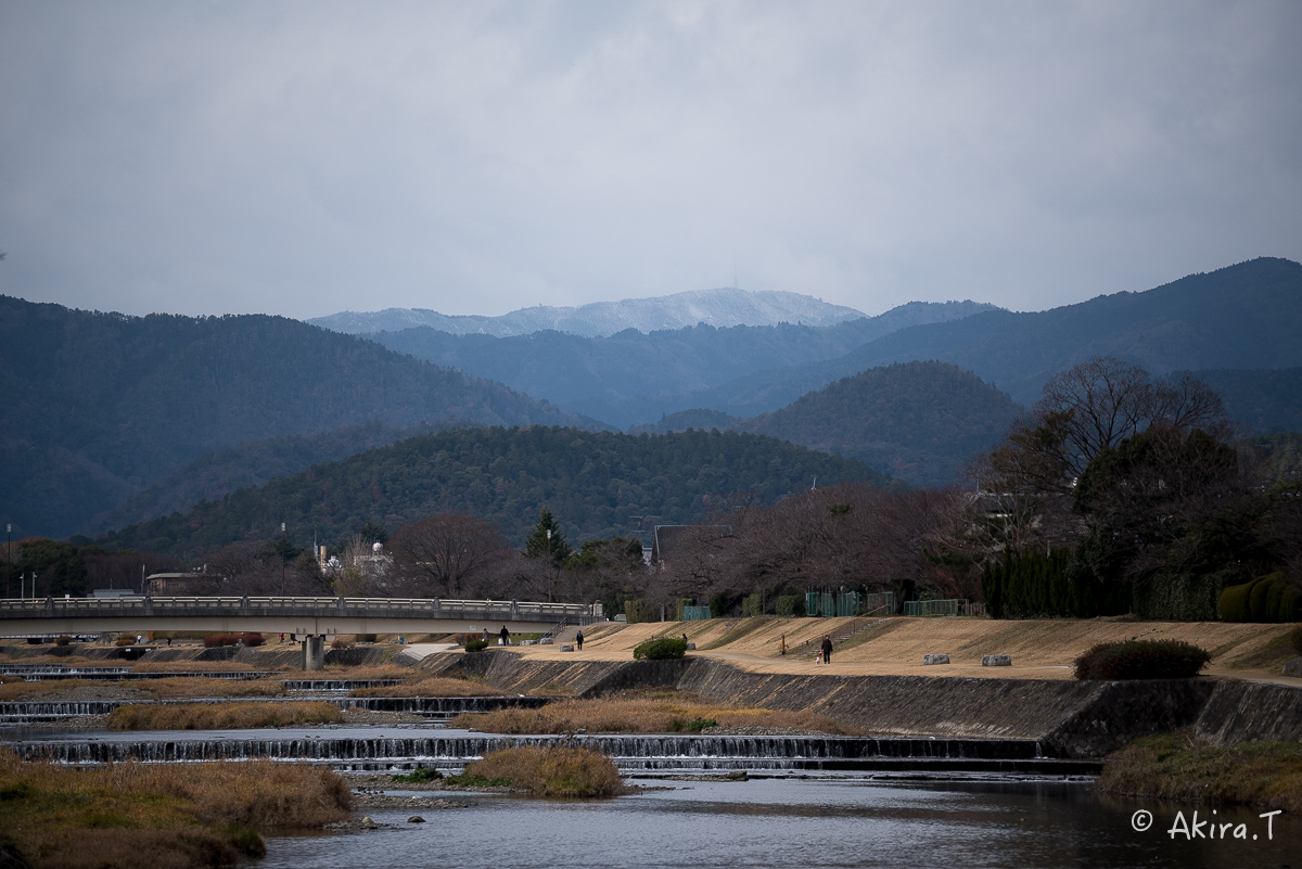 賀茂川スナップ 〜2〜_f0152550_21585714.jpg