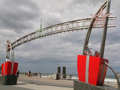 d0068151_8441569.jpg