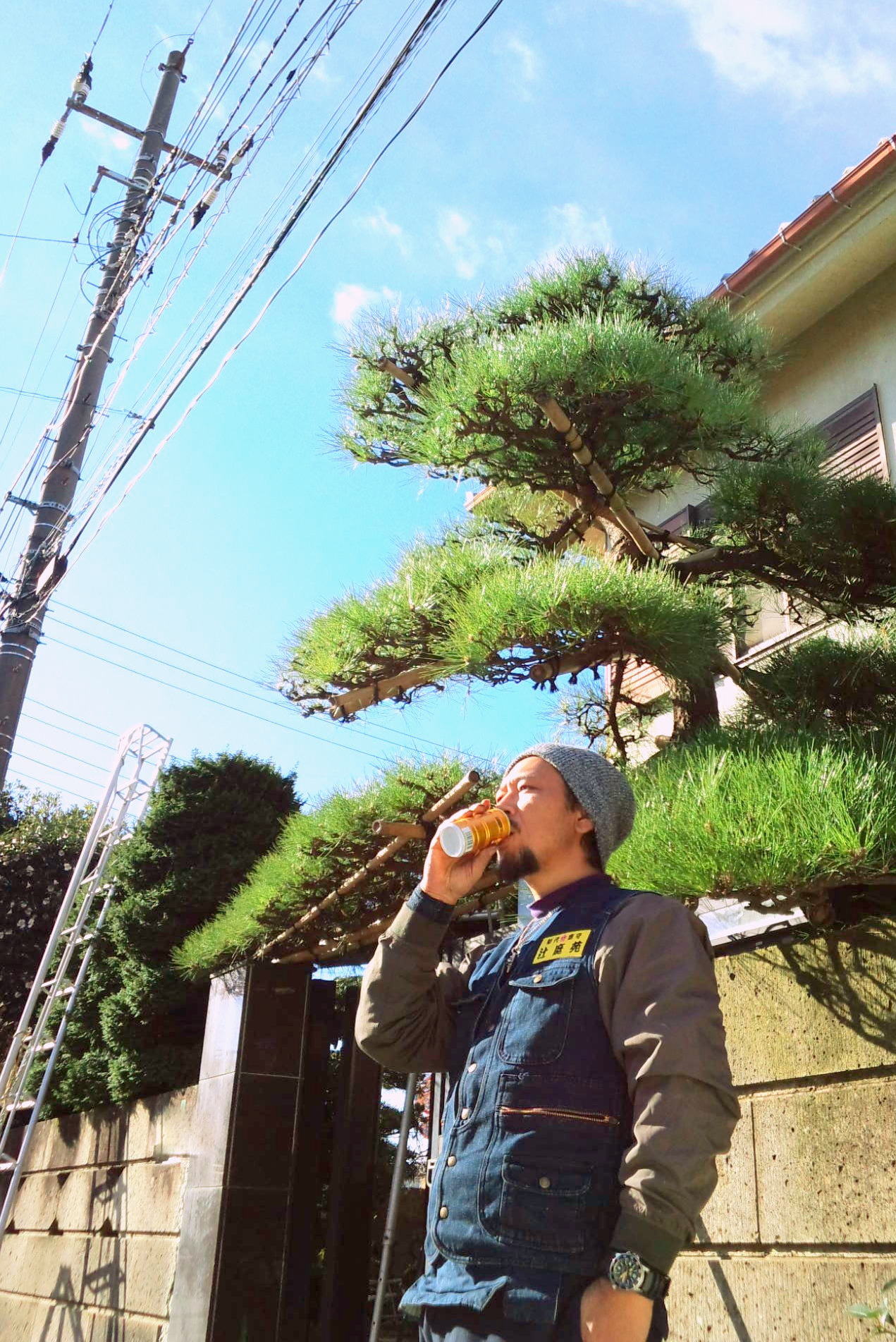 黒松 手入れ 施工に伺いました 小平市 植木屋 庭師 辻庭苑 植木屋 庭守 辻庭苑 東京 小平 黒松 手入れ 施工に伺いました 小平市 植木屋 庭師 辻庭苑 植木屋 庭守 辻庭苑 東京 小平