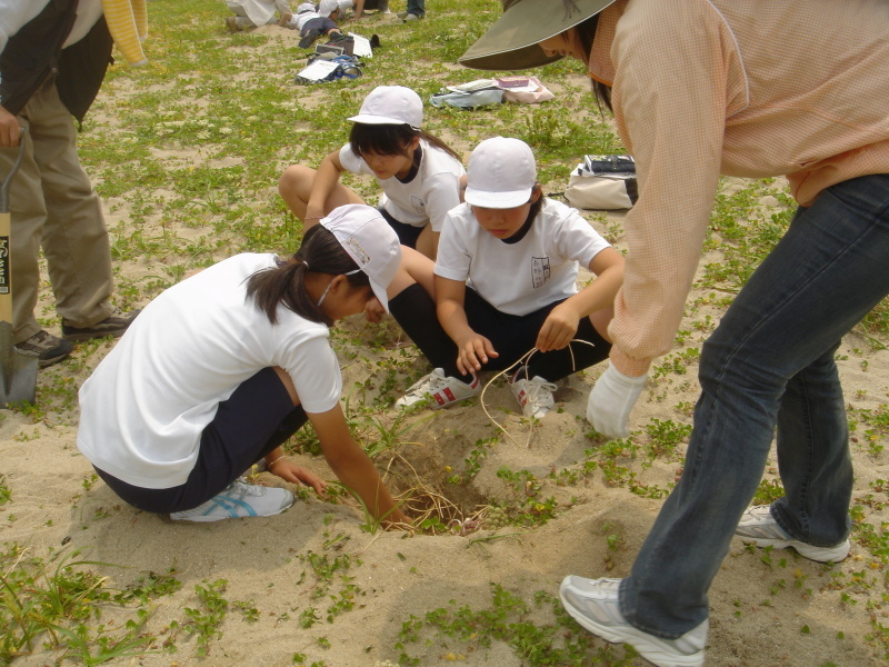 箱作小学校５年学習サポート[学年交流会]_c0108460_22350532.jpg