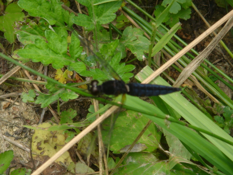 c0108460_23204478.jpg