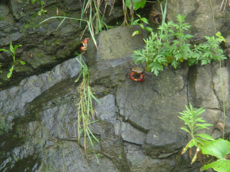 c0108460_23301017.jpg