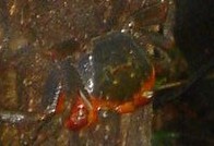 c0108460_23301165.jpg