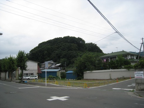 a0087378_11554071.jpg