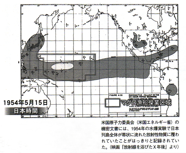  ビキニ環礁から福島までの距離（2）  ＜放射能を浴びたX年後＞_c0041095_17495353.jpg