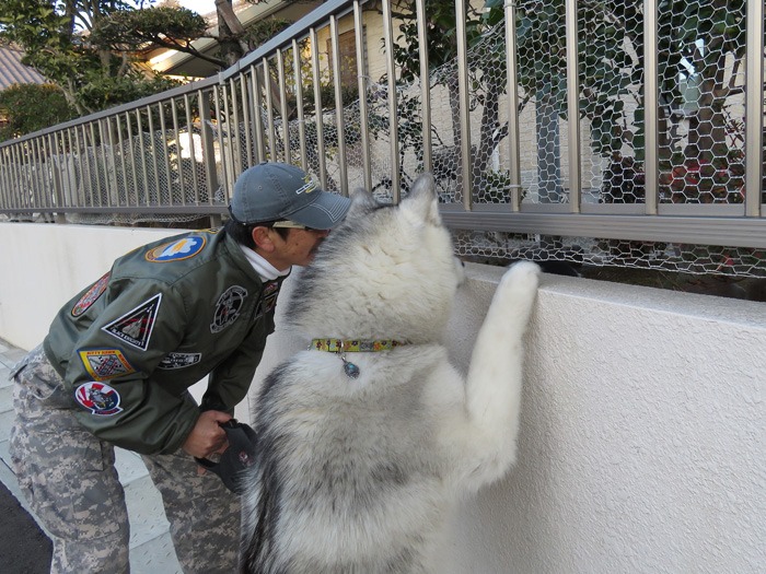 友よ！遊ぼう！　(^o^)_c0049299_22161449.jpg