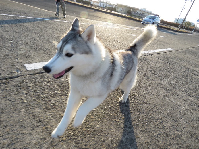 友よ!遊ぼう! (^o^)_c0049299_221694.jpg