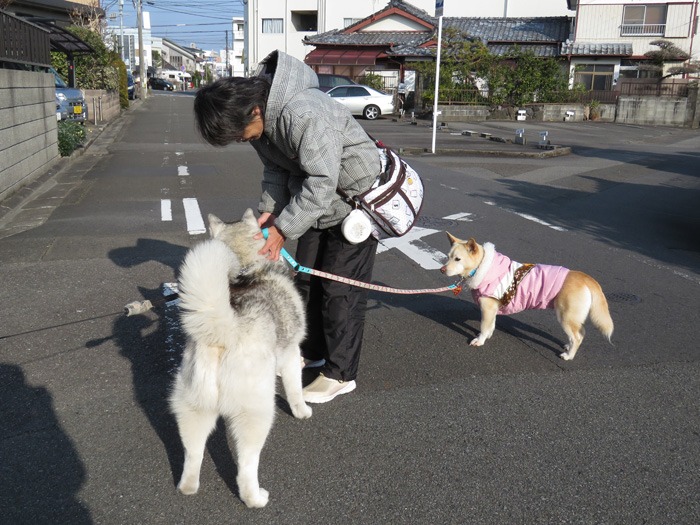 友よ！遊ぼう！　(^o^)_c0049299_22223810.jpg