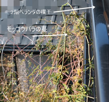 a0123003_20373630.jpg