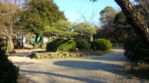 名古屋の鶴舞公園_d0306603_228254.jpg