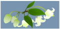 c0051105_17231022.png