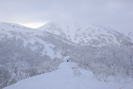 2015年1月5日キロロで粉雪を堪能する。_c0242406_16473225.jpg