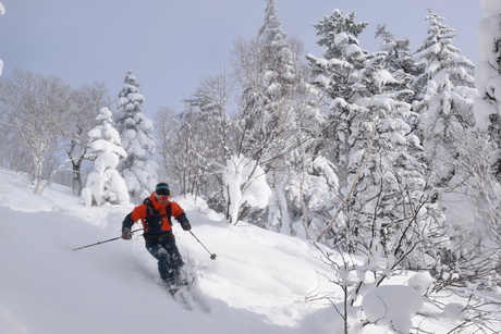 2015年1月5日キロロで粉雪を堪能する。_c0242406_16491534.jpg