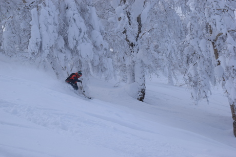 2015年1月5日キロロで粉雪を堪能する。_c0242406_16493514.jpg