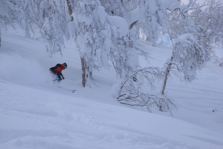 2015年1月5日キロロで粉雪を堪能する。_c0242406_16495219.jpg