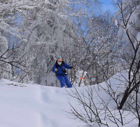 2015年1月5日キロロで粉雪を堪能する。_c0242406_17125066.jpg