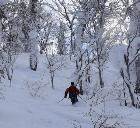 2015年1月5日キロロで粉雪を堪能する。_c0242406_175118.jpg