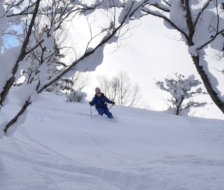 2015年1月5日キロロで粉雪を堪能する。_c0242406_1753045.jpg