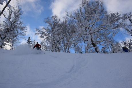 2015年1月5日キロロで粉雪を堪能する。_c0242406_177228.jpg