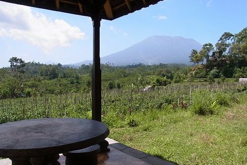 Warung Makan Organic で お茶休憩 @ Iseh, Karangasem (\'14年9月)_f0319208_19482372.jpg