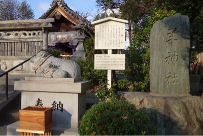 d0039312_2130030.jpg
