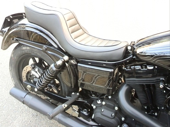 FXDB custom paint_e0269313_20502664.jpg