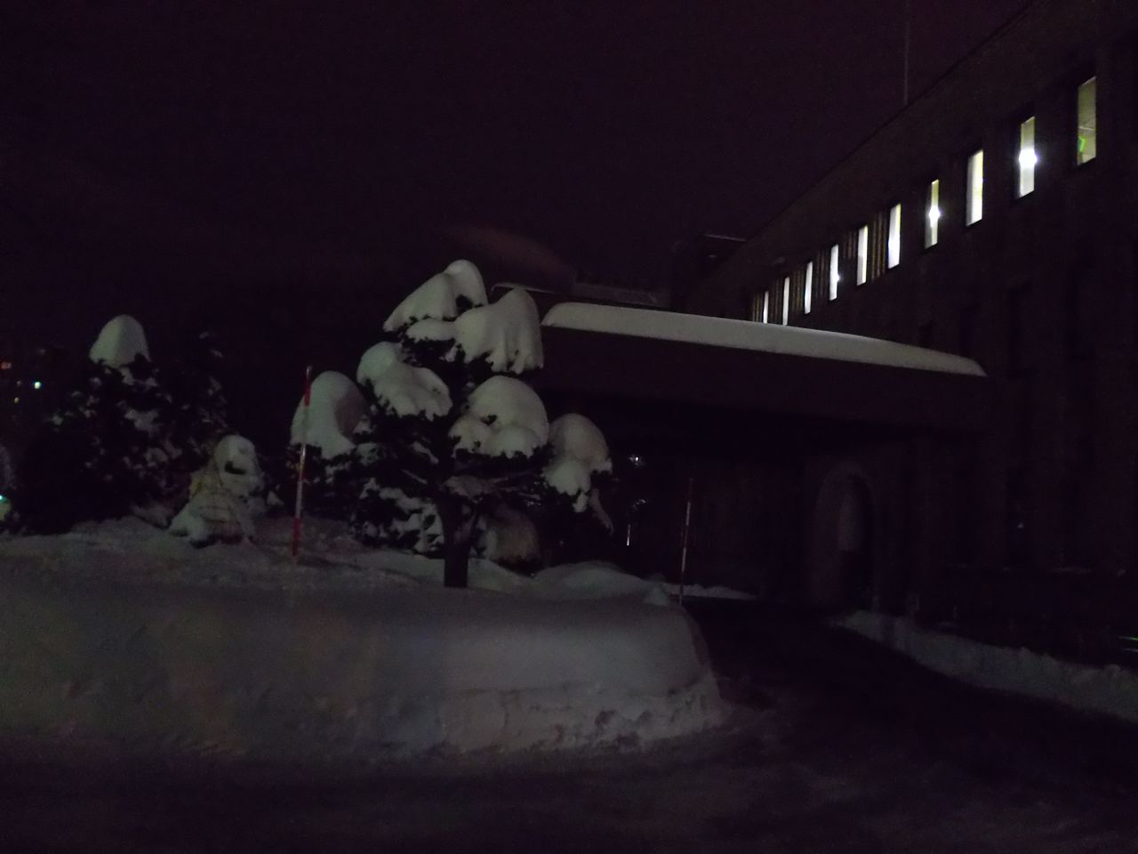 第2回新年会_c0025115_234130100.jpg