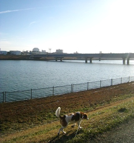 c0084117_1827562.jpg
