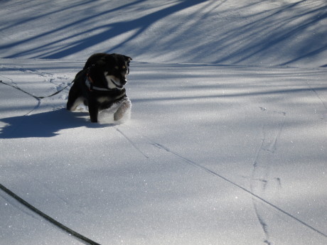 きぬがわで雪遊び２日目_d0176417_14153154.jpg