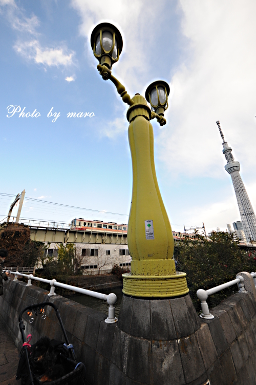 e0160417_1822415.jpg
