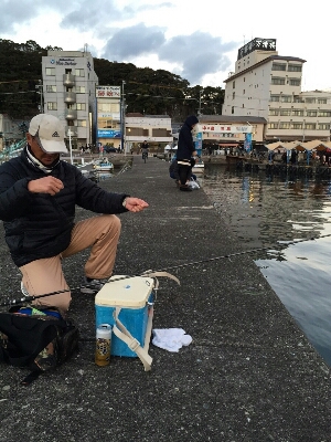 勝浦には、まだ、まだカマスが居ますよ～～。_d0320223_1339642.jpg