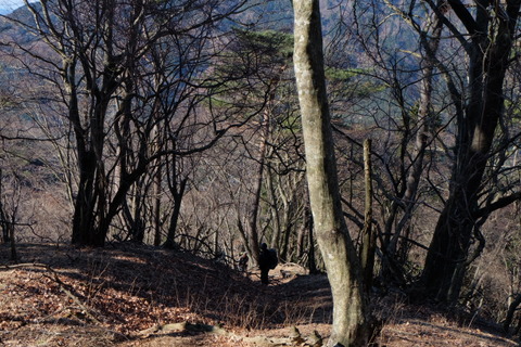 大山【諸戸尾根〜梅の木尾根】〜１月11日(日)〜　その①_b0281732_8173536.jpg