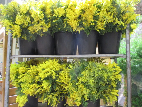 c0232541_74439.jpg