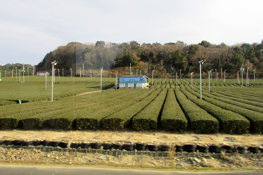 2015年冬「青春18きっぷの旅」-15♪　掛川駅～天竜二俣駅♪_d0058941_2029033.jpg