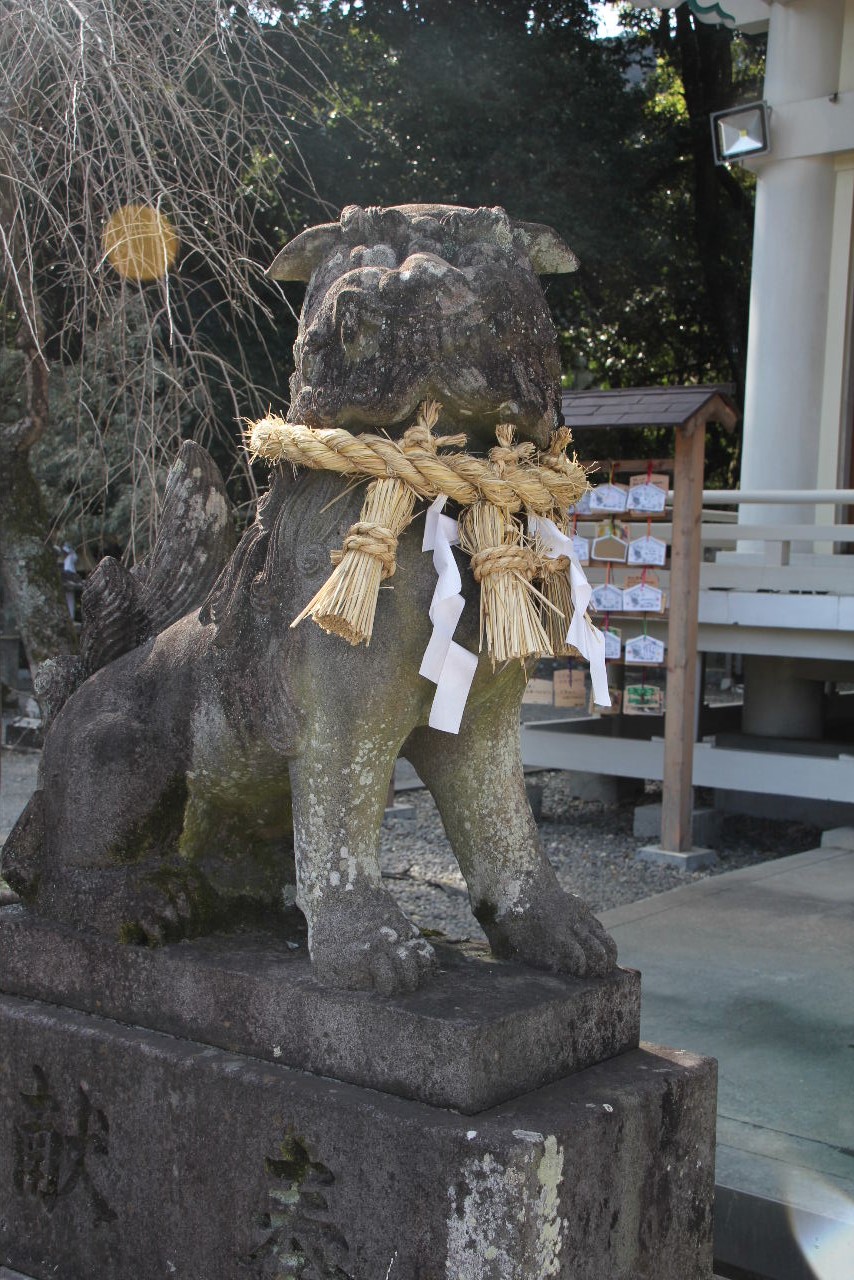 【武雄神社】　御神木は樹齢3000年の「武雄の大楠」_c0011649_8322989.jpg